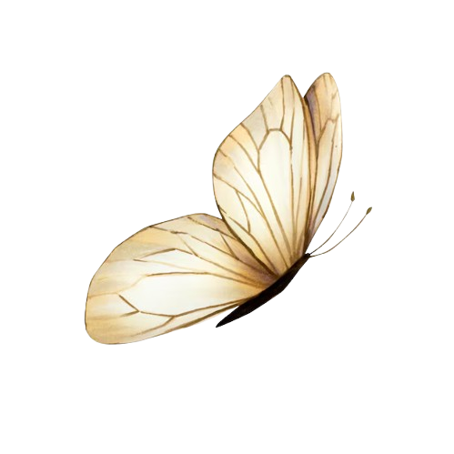 butter removebg preview